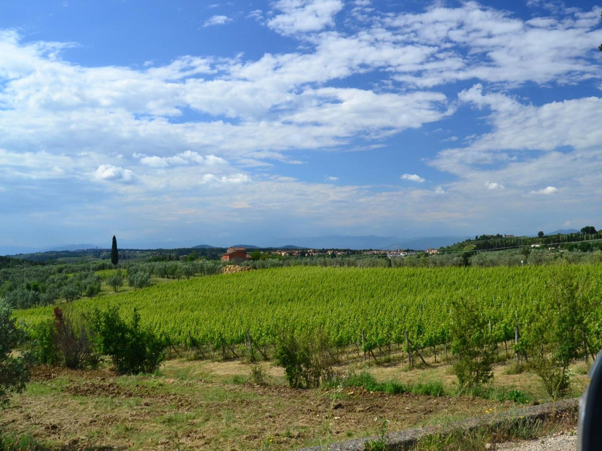 Lovely Holiday Home In Montefiridolfi With Hill View Zewnętrze zdjęcie