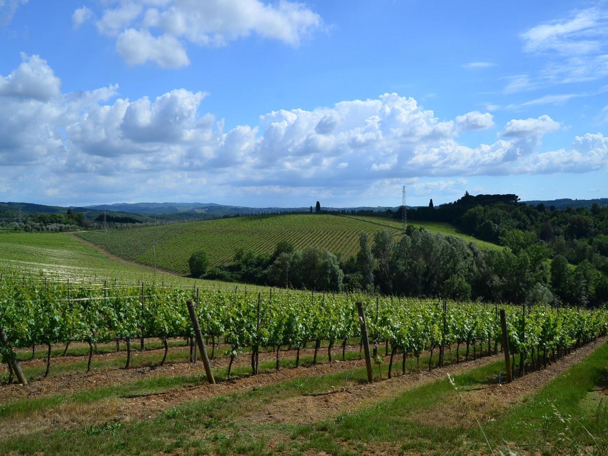 Lovely Holiday Home In Montefiridolfi With Hill View Zewnętrze zdjęcie