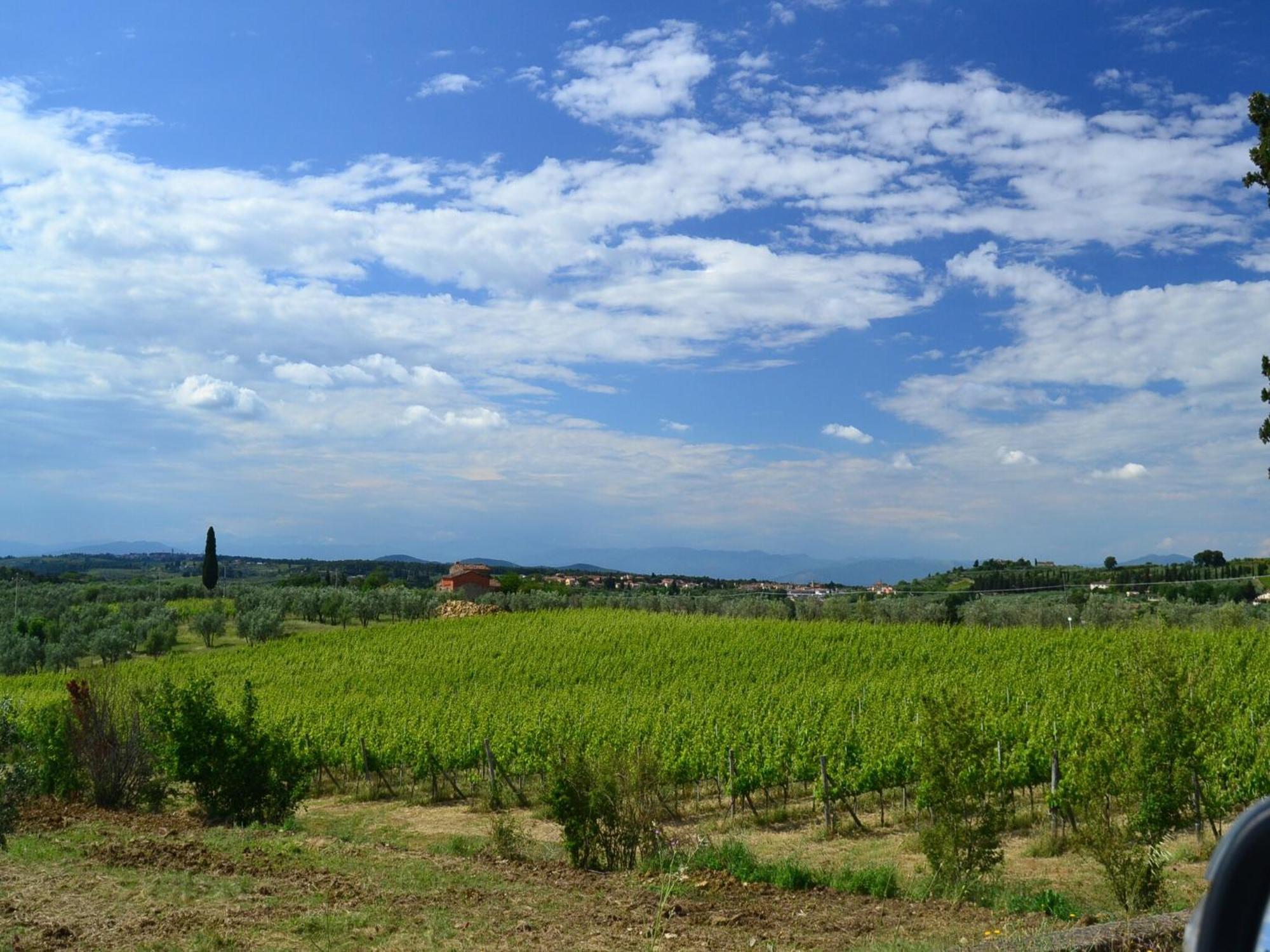 Lovely Holiday Home In Montefiridolfi With Hill View Zewnętrze zdjęcie