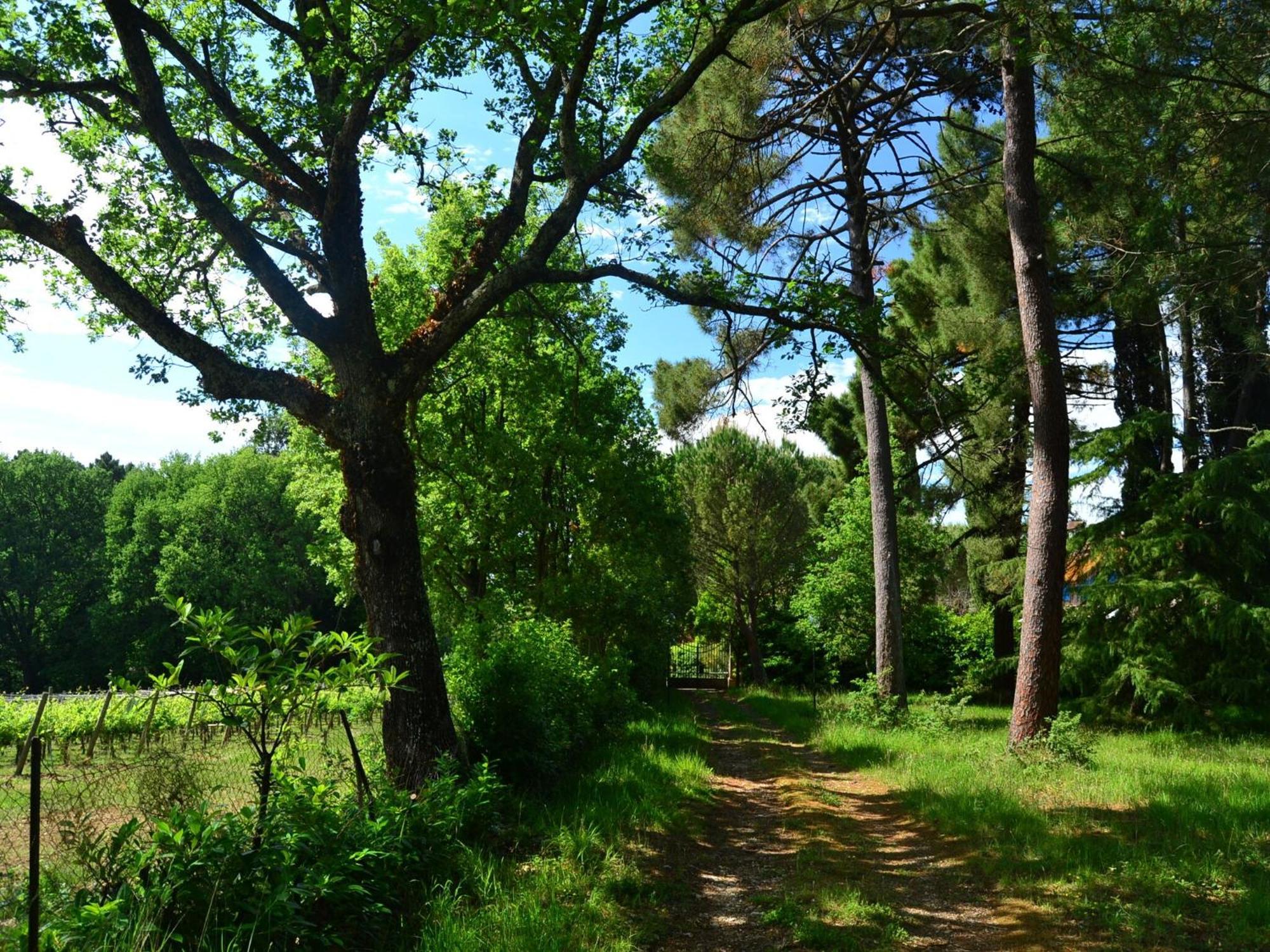 Lovely Holiday Home In Montefiridolfi With Hill View Zewnętrze zdjęcie
