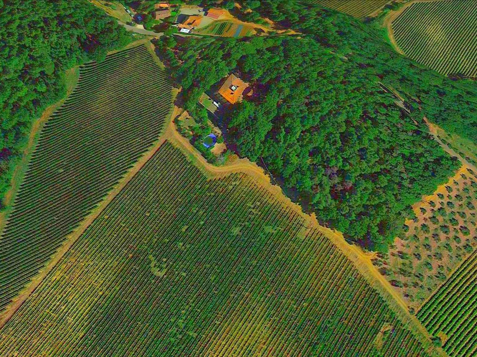 Lovely Holiday Home In Montefiridolfi With Hill View Zewnętrze zdjęcie